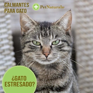 Foto 3 | Foto 3 | Calmantes Para Gato Pet Naturals 31.5 Gr