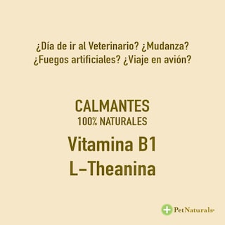 Foto 4 | Foto 4 | Calmantes Para Gato Pet Naturals 31.5 Gr