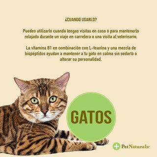 Foto 5 | Foto 5 | Calmantes Para Gato Pet Naturals 31.5 Gr