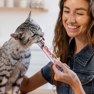 Foto 5 | Foto 5 | Puré Cremoso Para Lamer Churu De Salmón Inaba De Cat Treats 15 Ml X 40 - Venta Internacional.