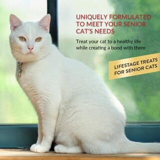 Foto 6 | Foto 6 | Cat Treats Inaba Churu Para Mayores De 10 Años Con Atún 20 Tubos De 15 Ml - Venta Internacional.