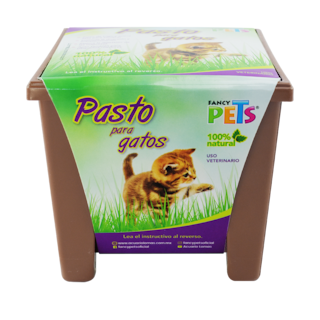 Foto 1 | Foto 1 | Pasto 100% Natural para Gatos y Pequeños Roedores Fancy Pets con Maceta
