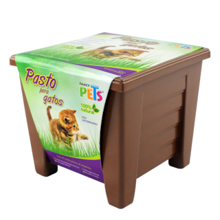 Foto 2 | Foto 2 | Pasto 100% Natural para Gatos y Pequeños Roedores Fancy Pets con Maceta