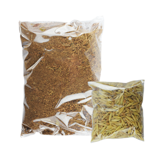 Foto 3 | Foto 3 | Pasto 100% Natural para Gatos y Pequeños Roedores Fancy Pets con Maceta