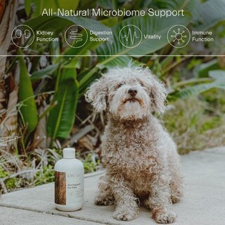 Foto 4 | Foto 4 | Suplemento Ion Intelligence Of Nature Gut Support 240 Ml Para - Venta Internacional.