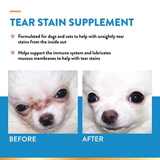 Foto 3 | Foto 3 | Suplementos Naturvet, Tinte Lagrimal De Luteína Para Perros Y Gatos, 120 °c - Venta Internacional.