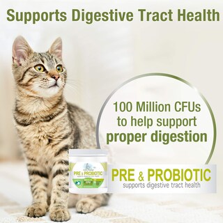 Foto 3 | Foto 3 | Suplementos Four Paws Healthy Promise Pre y Probióticos para Gatos 90 Unidades - Venta Internacional