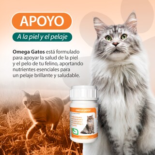 Foto 3 | Foto 3 | Omega Gatos 60