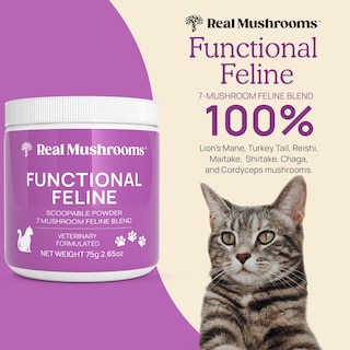 Foto 2 | Foto 2 | Suplemento En Polvo Real Mushrooms Functional Feline 75 Ml - Venta Internacional.