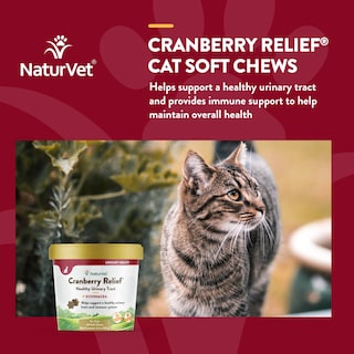 Foto 4 | Foto 4 | Suplemento Naturvet Cranberry Relief Plus Echinacea Para Gatos - Venta Internacional.