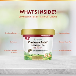 Foto 5 | Foto 5 | Suplemento Naturvet Cranberry Relief Plus Echinacea Para Gatos - Venta Internacional.