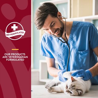 Foto 6 | Foto 6 | Suplemento Naturvet Cranberry Relief Plus Echinacea Para Gatos - Venta Internacional.