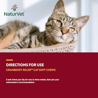 Foto 7 | Foto 7 | Suplemento Naturvet Cranberry Relief Plus Echinacea Para Gatos - Venta Internacional.