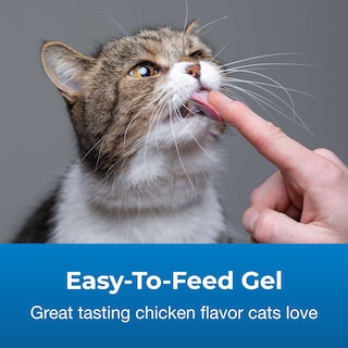 Foto 4 | Foto 4 | Suplemento Petag En Gel De Vitaminas Y Minerales Para Gatos 100 Ml - Venta Internacional.