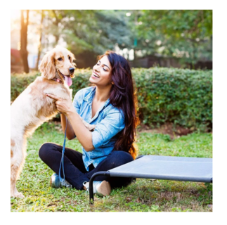 Foto 5 | Foto 5 | Cama Elevada para Mascotas Belug Gris