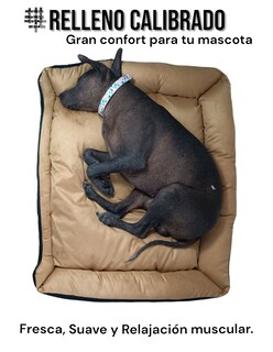 Foto 4 | Foto 4 | Cama Rectangular De Lujo Lunics   Jumbo Color Miel