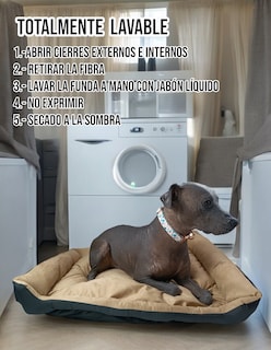 Foto 7 | Foto 7 | Cama Rectangular De Lujo Lunics Grande Color Miel