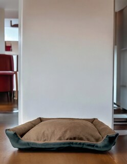 Foto 8 | Foto 8 | Cama Rectangular de Lujo Lunics Chica color Cocoa