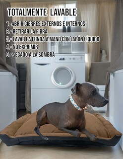 Foto 7 | Foto 7 | Cama Rectangular de Lujo Lunics Marrón Chica