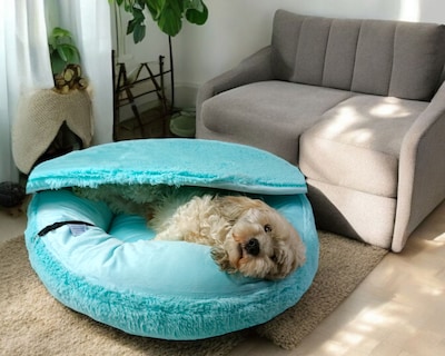 Foto 8 | Foto 8 | Cama para Perro Lunics Aqua Antiestrés con Techo Desmontable Mediana