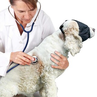 Foto 3 | Foto 3 | Máscara De Ojos Calmante Para Perros, De Nailon, Para La Ansiedad De Las Mascotas, Color Negro, Tall - Venta Internacional.