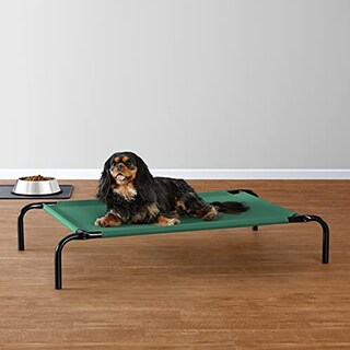 Foto 6 | Foto 6 | Cama Para Mascotas Amazon Basics Cooling Elevated Small Green - Venta Internacional.