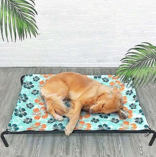 Foto 1 | Foto 1 | Cama Huoguo Con Estructura De Acero Para Baños De Pájaros Con Almohadilla De Hielo - Venta Internacional.