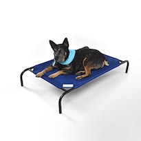 Cama Para Mascotas Coolaroo The Original Cooling Elevated Azul Medio - Venta Internacional.