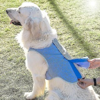 Foto 4 | Foto 4 | Chaleco Refrescante Para Perros Huoguo Talla M Azul - Venta Internacional.