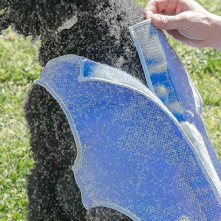 Foto 5 | Foto 5 | Chaleco Refrescante Para Perros Huoguo Talla M Azul - Venta Internacional.