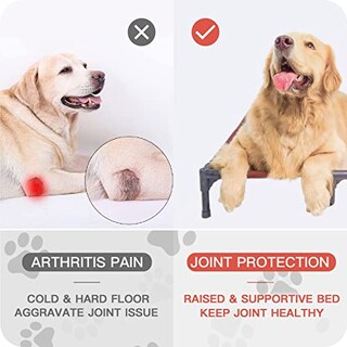 Foto 4 | Foto 4 | Cama Elevada Para Perros Suddus Impermeable Y Portátil Para Exteriores - Venta Internacional.