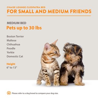 Foto 8 | Foto 8 | Cama Para Mascotas, FUNDA EXTRAIBLE, Facil De Aspirar, Incluye Cojin, Resistente Al Agua, Patas Desmontables