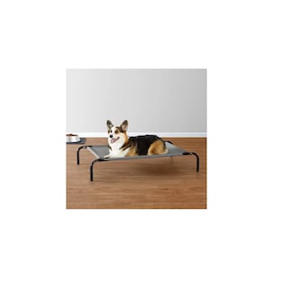 Foto 3 | Foto 3 | Cama Elevada Para Perro Mediano Resistente Portátil Eo Safe Imports Esi-18545 Gris