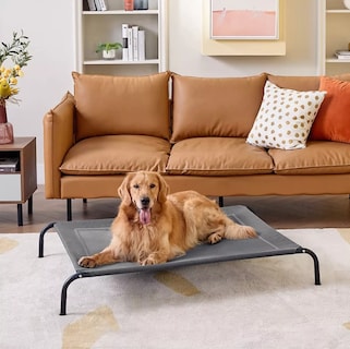 Foto 3 | Foto 3 | Cama Elevada Para Perros Gato Y Mascotas Grande Eo Safe Imports Esi-18542 Gris