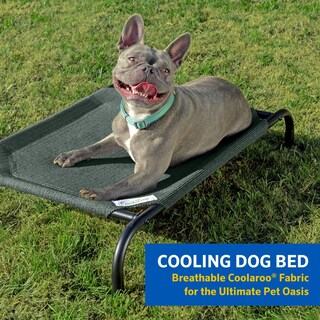 Foto 2 | Foto 2 | Coolaroo Gale Pacific, La Cama Para Perros Original Con Refrigeración Elevada - Venta Internacional.