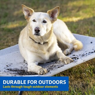 Foto 4 | Foto 4 | Coolaroo Gale Pacific, La Cama Para Perros Original Con Refrigeración Elevada - Venta Internacional.