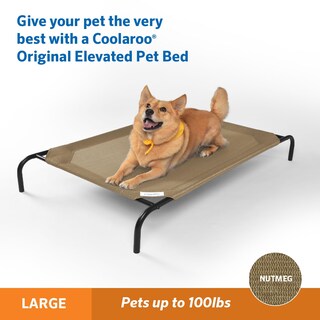 Foto 3 | Foto 3 | Cama Coolaroo Coolaroo Elevated Para Perros, Interior Y Exterior, Grande - Venta Internacional.