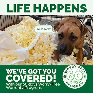 Foto 2 | Foto 2 | Cama De Gel Refrescante Para Perros Furhaven Para Perros Grandes De Hasta 95 Libras - Venta Internacional.