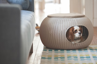 Foto 2 | Foto 2 | Casa Para Mascotas Cozy Marca Curver