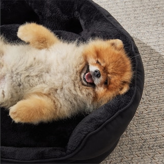 Foto 7 | Foto 7 | Cama Para Mascotas, Redonda, 50 Cm, Para Perros Y Gatos Pequeños, Color Negro - Venta Internacional.