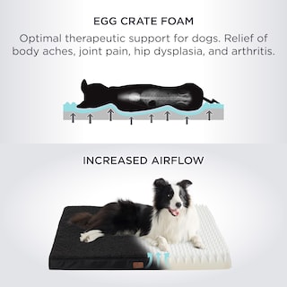 Foto 3 | Foto 3 | Cama Ortopédica Impermeable Para Perros Grandes - Venta Internacional.