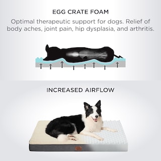 Foto 3 | Foto 3 | Cama Ortopédica Para Perros, Impermeable, Para Jaulas Grandes - Venta Internacional.