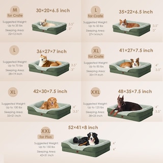 Foto 5 | Foto 5 | Cama Para Perros Eheyciga De Espuma Viscoelástica Para Tamaño Mediano, Impermeable, Verde - Venta Internacional.