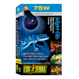 Foto 1 | Foto 1 | Hagen Night Gloexoterra Lámpra Foco Incandescente Luz Nocturna Para Terrarios Reptiles Con 75 Watts