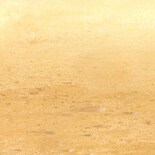 Lámina De Plástico Backdrop Beistle Desert Sand De 1,2 M X 9 M - Venta Internacional.