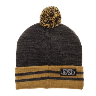 Foto 1 | Foto 1 | Beanie Bioworld Fantastic Beasts And Where To Find Them Grey - Venta Internacional.