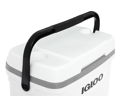 Foto 6 | Foto 6 | Hielera Igloo 28 L