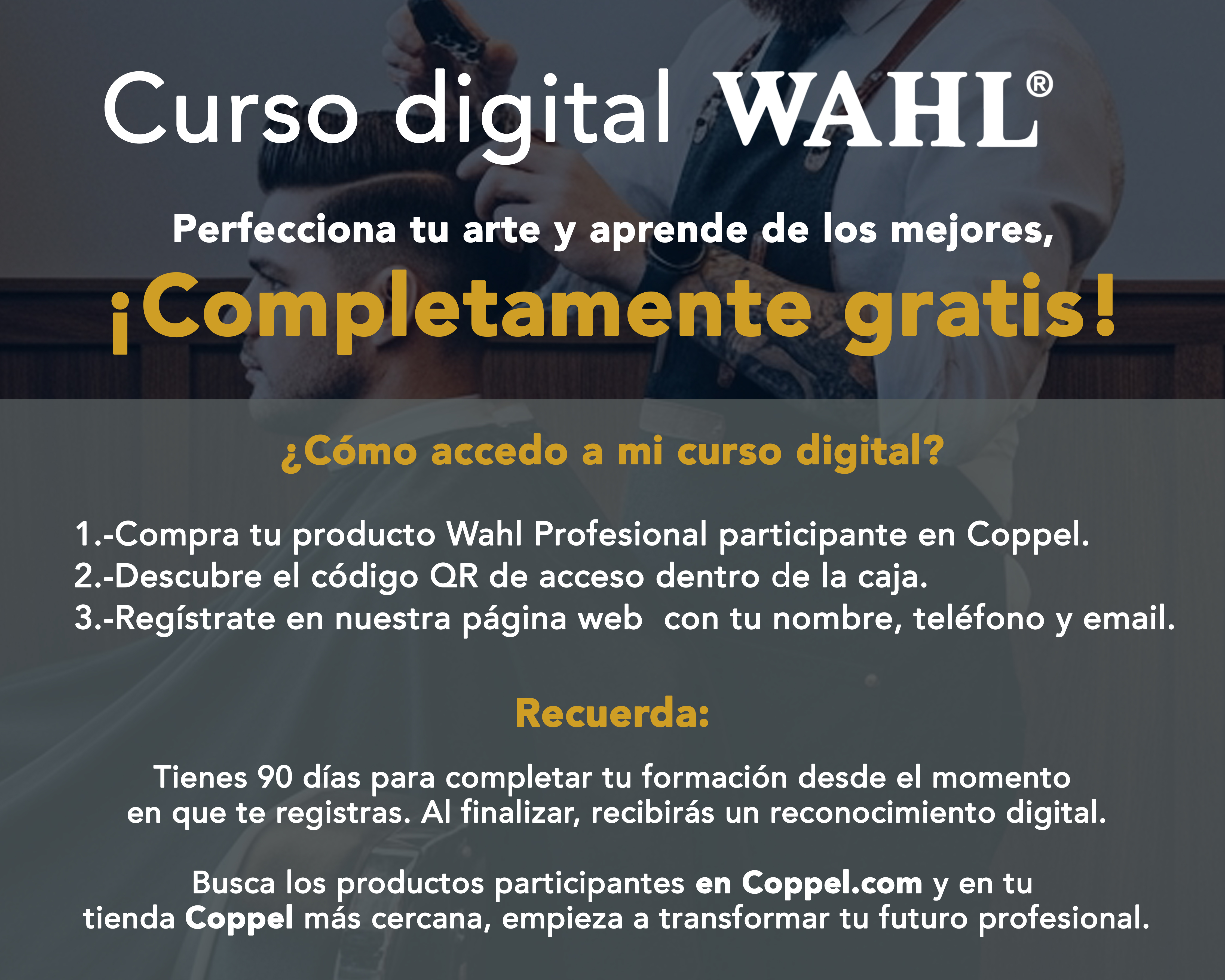 Foto 6 pulgar | Foto 5 | Recortadora Wahl Peanut con Accesorios + Curso Virtual de Barbería