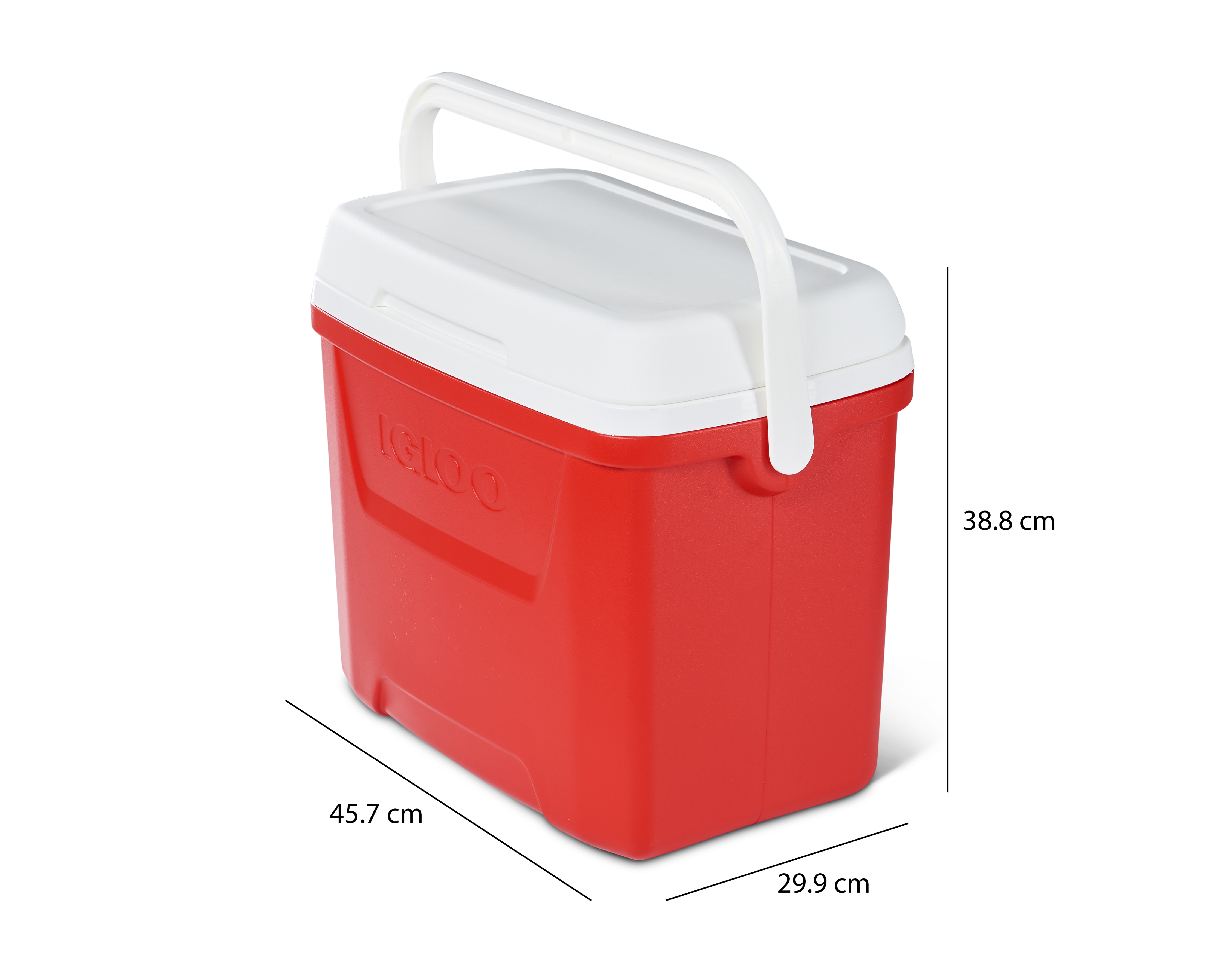 Foto 5 pulgar | Foto 4 | Hielera Igloo 26 Litros