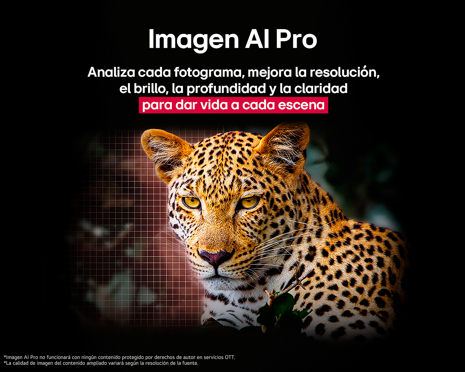 Foto 6 pulgar | Foto 5 | Pantalla Smart TV LG OLED 65 Pulgadas UHD OLED65B5